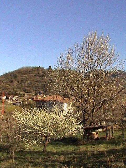 B&B La Pinara Тренто Экстерьер фото