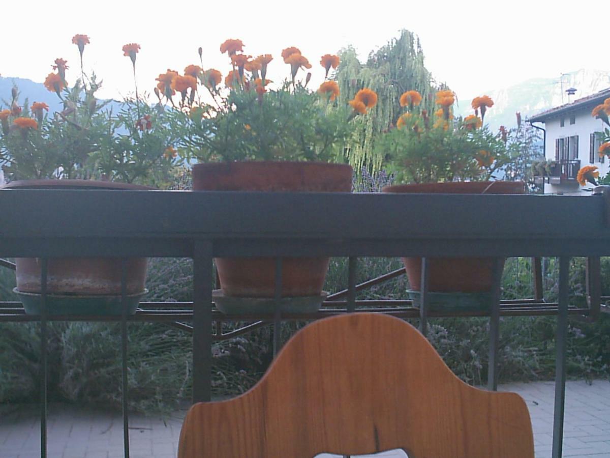 B&B La Pinara Тренто Экстерьер фото